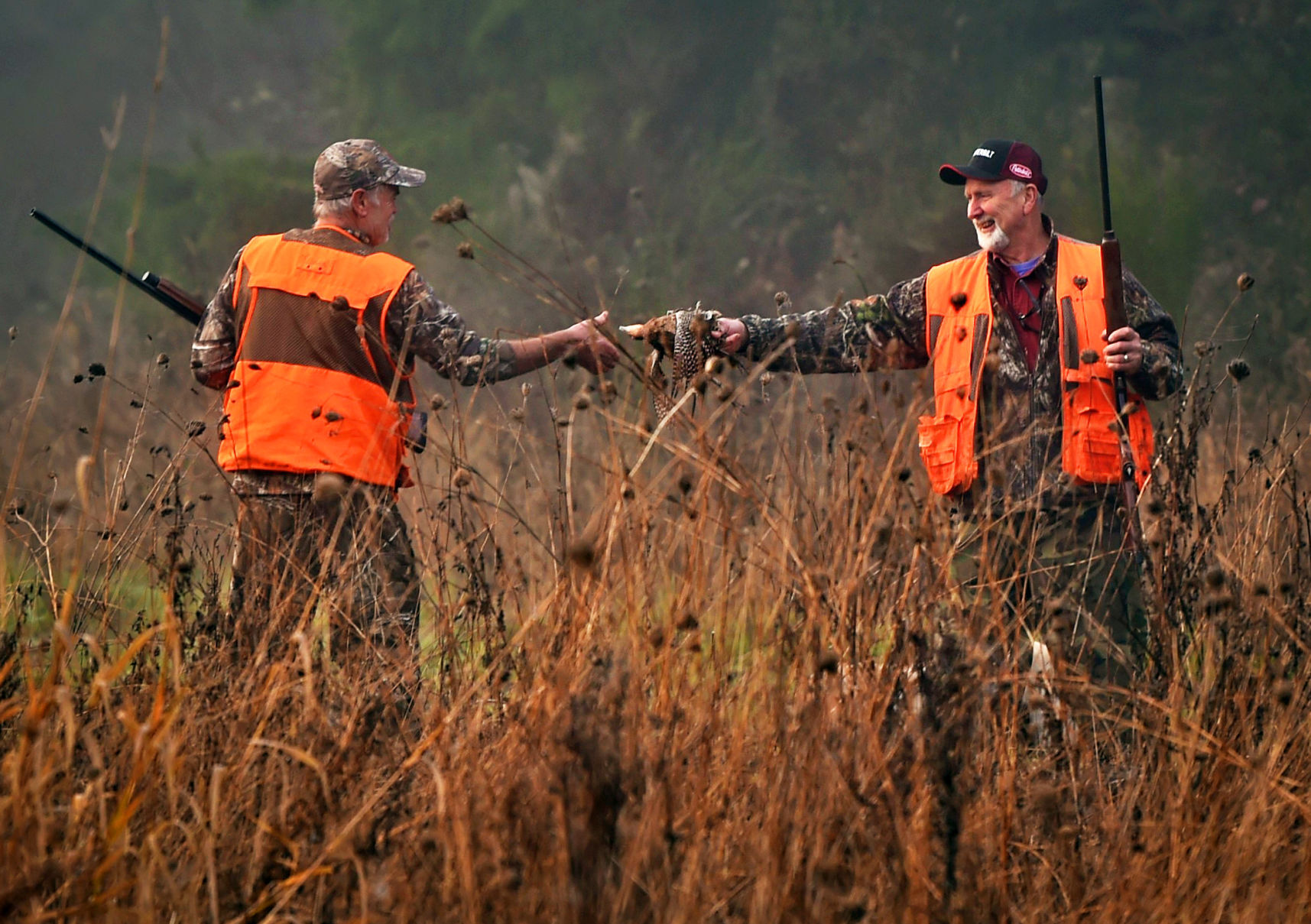 Pheasant handoff